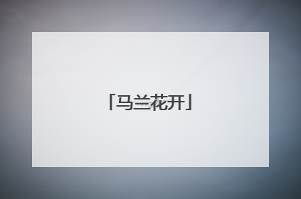 马兰花开