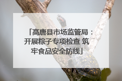 高唐县市场监管局：开展粽子专项检查 筑牢食品安全防线