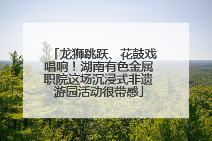龙狮跳跃、花鼓戏唱响！湖南有色金属职院这场沉浸式非遗游园活动很带感