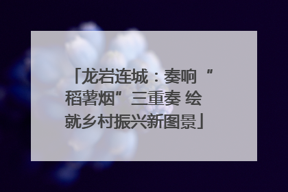 龙岩连城：奏响“稻薯烟”三重奏 绘就乡村振兴新图景