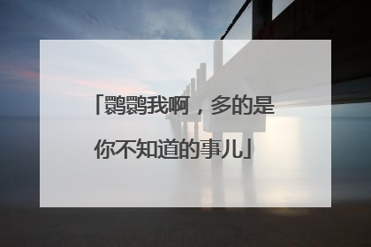 鹮鹮我啊，多的是你不知道的事儿