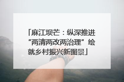 麻江坝芒：纵深推进“两清两改两治理”绘就乡村振兴新图景