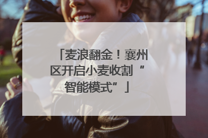 麦浪翻金！襄州区开启小麦收割“智能模式”