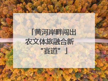 黄河岸畔闯出农文体旅融合新“赛道”