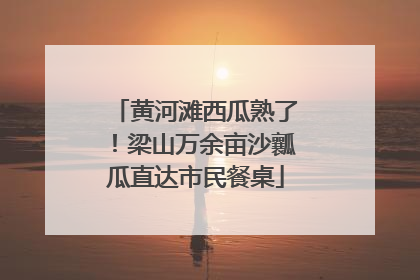 黄河滩西瓜熟了！梁山万余亩沙瓤瓜直达市民餐桌