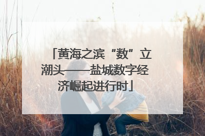 黄海之滨“数”立潮头——盐城数字经济崛起进行时