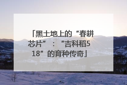 黑土地上的“春耕芯片”：“吉科稻518”的育种传奇