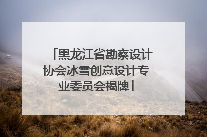 黑龙江省勘察设计协会冰雪创意设计专业委员会揭牌