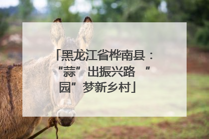 黑龙江省桦南县：“蒜”出振兴路 “园”梦新乡村