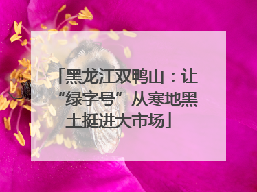 黑龙江双鸭山：让“绿字号”从寒地黑土挺进大市场