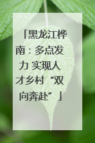 黑龙江桦南：多点发力 实现人才乡村“双向奔赴”