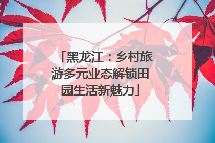 黑龙江：乡村旅游多元业态解锁田园生活新魅力