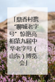 鼎香村携“聊城老字号”惊艳亮相第九届中华老字号（山东）博览会