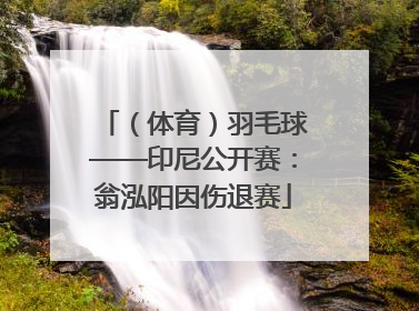 （体育）羽毛球——印尼公开赛：翁泓阳因伤退赛