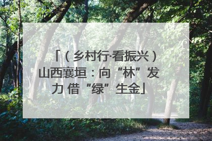 （乡村行·看振兴）山西襄垣：向“林”发力 借“绿”生金
