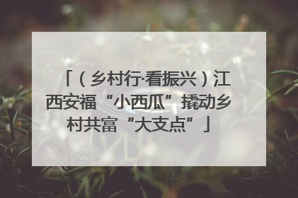 （乡村行·看振兴）江西安福“小西瓜”撬动乡村共富“大支点”