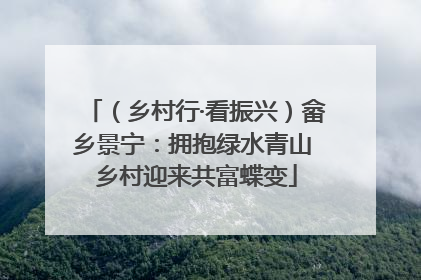 （乡村行·看振兴）畲乡景宁：拥抱绿水青山 乡村迎来共富蝶变