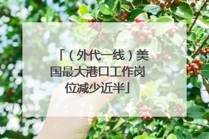 （外代一线）美国最大港口工作岗位减少近半