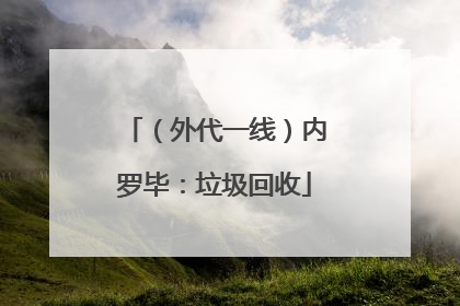 （外代一线）内罗毕：垃圾回收