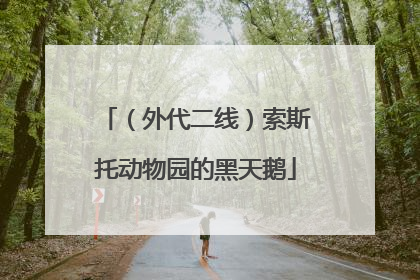 （外代二线）索斯托动物园的黑天鹅