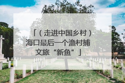 （走进中国乡村）海口最后一个渔村捕文旅“新鱼”