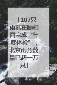 107只雨燕在颐和园完成“年度体检”，北京雨燕数量已超一万只