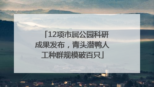 12项市属公园科研成果发布，青头潜鸭人工种群规模破百只