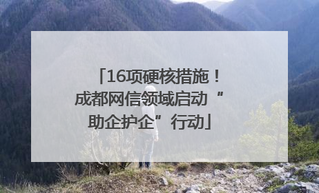 16项硬核措施！成都网信领域启动“助企护企”行动