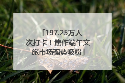 197.25万人次打卡！焦作端午文旅市场强势吸粉