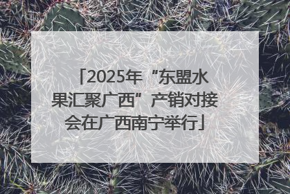 2025年“东盟水果汇聚广西”产销对接会在广西南宁举行