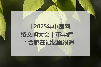2025年中国网络文明大会｜董宇辉：合肥在记忆里很遥远也很亲切
