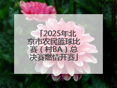 2025年北京市农民篮球比赛（村BA）总决赛燃情开赛