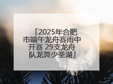 2025年合肥市端午龙舟赛雨中开赛 29支龙舟队龙舞少荃湖