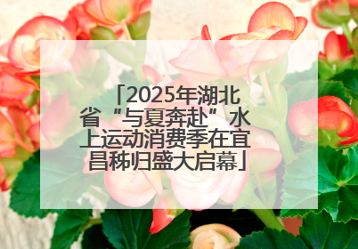 2025年湖北省“与夏奔赴”水上运动消费季在宜昌秭归盛大启幕