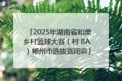 2025年湖南省和美乡村篮球大赛（村 BA）郴州市选拔赛闭幕