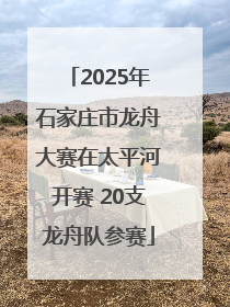 2025年石家庄市龙舟大赛在太平河开赛 20支龙舟队参赛