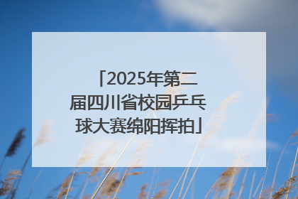 2025年第二届四川省校园乒乓球大赛绵阳挥拍