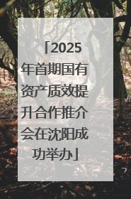 2025年首期国有资产质效提升合作推介会在沈阳成功举办