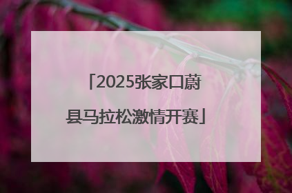 2025张家口蔚县马拉松激情开赛