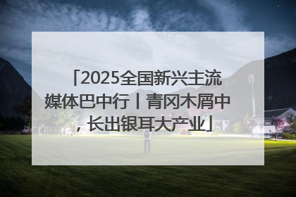 2025全国新兴主流媒体巴中行丨青冈木屑中，长出银耳大产业
