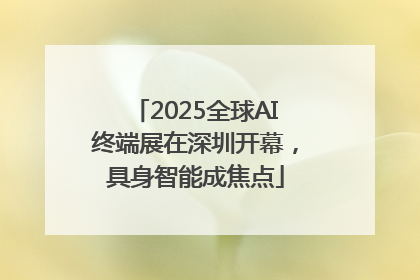 2025全球AI终端展在深圳开幕，具身智能成焦点
