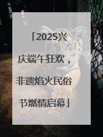 2025兴庆端午狂欢，非遗焰火民俗节燃情启幕