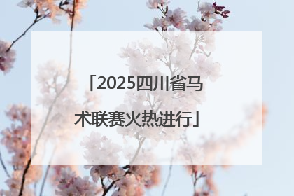 2025四川省马术联赛火热进行