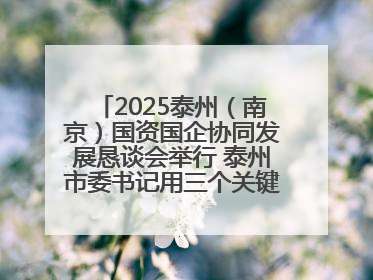 2025泰州（南京）国资国企协同发展恳谈会举行 泰州市委书记用三个关键词推介泰州