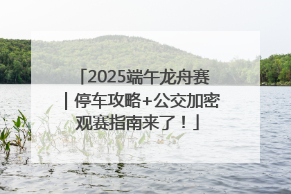 2025端午龙舟赛｜停车攻略+公交加密 观赛指南来了！