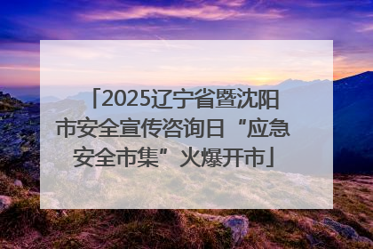 2025辽宁省暨沈阳市安全宣传咨询日“应急安全市集”火爆开市