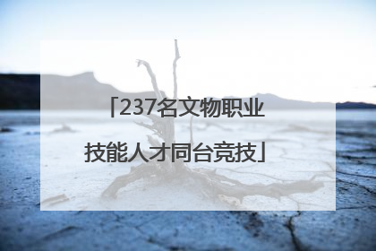 237名文物职业技能人才同台竞技