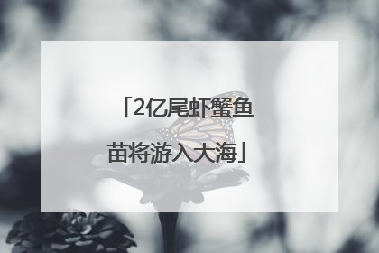 2亿尾虾蟹鱼苗将游入大海