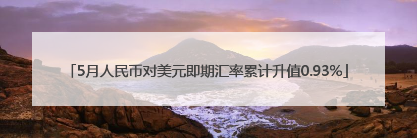 5月人民币对美元即期汇率累计升值0.93%
