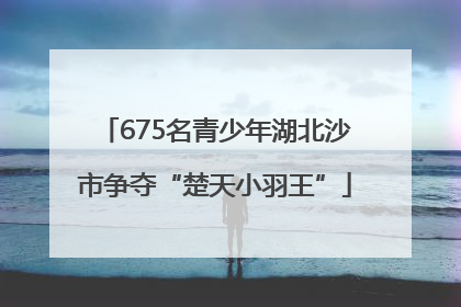 675名青少年湖北沙市争夺“楚天小羽王”